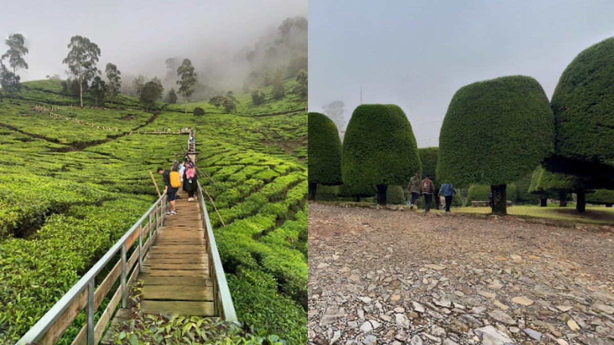 WISATA ALAM - Potret Bukit Jamur Ciwidey diambil dari Google Street View pada Kamis (6/3/2025). Bukit Jamur Ciwidey menawarkan pemandangan alam yang menyegarkan mata.