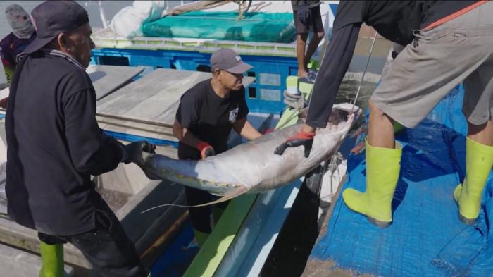 KAMPUNG NELAYAN - Aktivitas penangkapan ikan di Kampung Nelayan Merah Putih (KNMP) di Desa Tongke-Tongke, Kecamatan Sinjai TImur, Kabupaten Sinjai, Provinsi Sulawesi Selatan (Sulsel), Minggu (5/7/2026). Desa Tongke-Tongke terletak di pesisir Teluk Bone, memiliki kawasan pantai dan menjadi salah satu sentra perikanan penting di daerah tersebut.