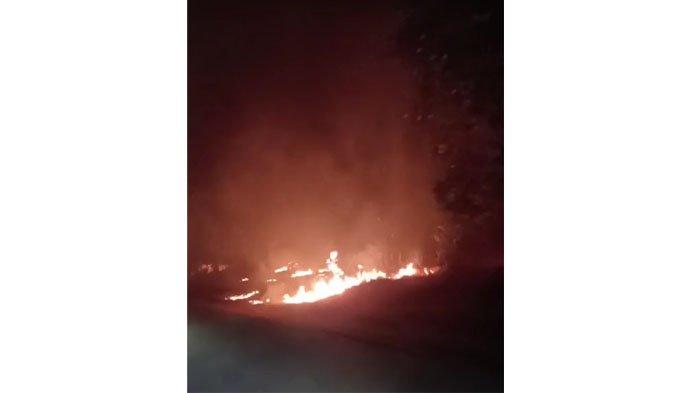 Kebakaran hutan di perbatasan Desa Semulut dan Bakit, Kecamatan Parittiga, Bangka Barat, Provinsi Bangka Belitung ludes terbakar, pada Senin (4/9/2023) malam