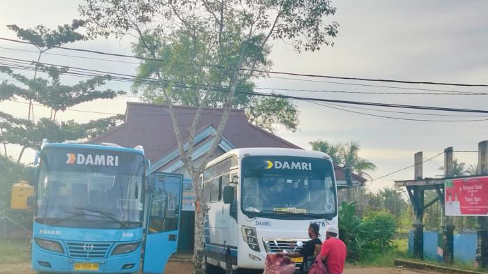 JADWAL DAMRI - Tampak Bus Damri yang akan berangkat melalui terminal di Jalan Perintis, Tideng Pale, Kecamatan Sesayap, KTT, Kaltara, pada Senin (13/7/2026). Catat Jadwal Damri Tana Tidung pada Senin 13 Juli 2026, yang melayani rute Tanjung Selor dan Malinau, dengan tarif mulai Rp20 Ribu per penumpang.  (TribunKaltara.com / Rismayanti)