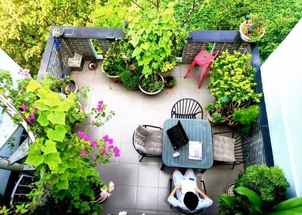 A corner of Mr. Phat's balcony facing the small park in front of the house. Photo: Provided by the character