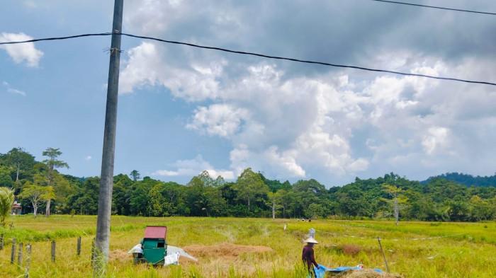 Petani di KTT 02 14072026
