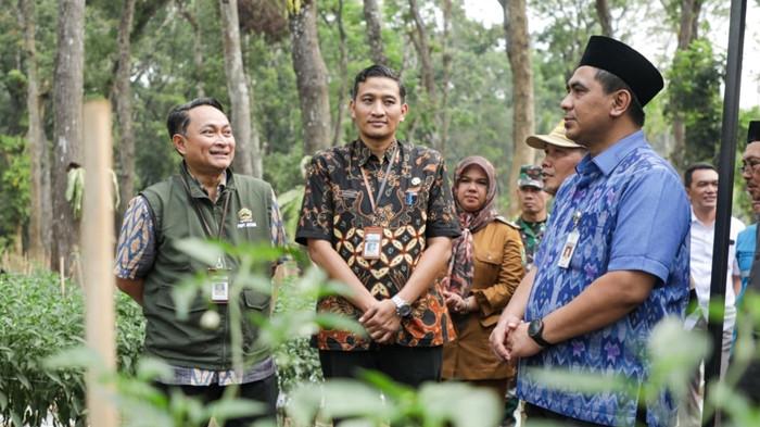 TANAM JAGUNG - Wakil Gubernur Jawa Tengah Taj Yasin Maimoen bersama jajaran pemerintah, Santri Gayeng Nusantara (SGN), dan kelompok tani melakukan penanaman jagung di lahan seluas 57 hektare milik Indonesia Power di Desa Bandingan, Kecamatan Bawang, Kabupaten Banjarnegara, Selasa (14/7/2026). Kawasan tersebut akan dikembangkan menjadi sentra pertanian terpadu sekaligus Agro Eduwisata Religi. (Istimewa)