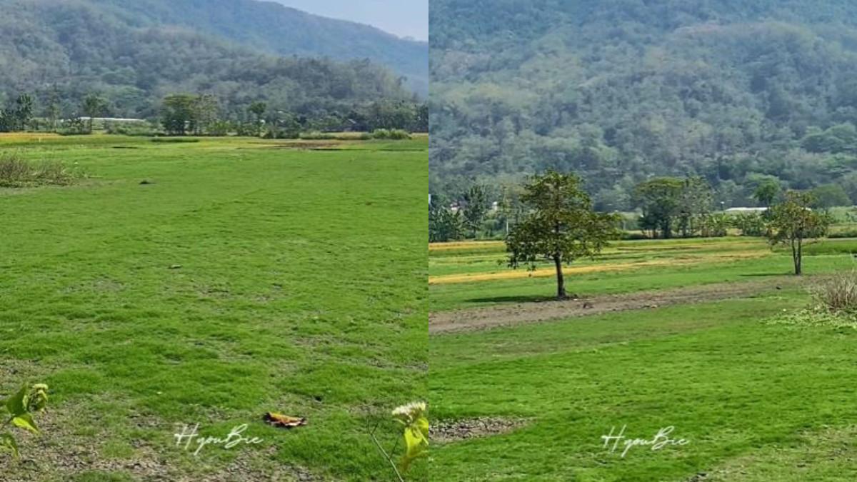 WISATA KLATEN -  Danau dadakan di Gantiwarno Klaten.