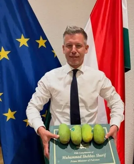Unik! PM Pakistan Hadiahi PM Hungaria 90 Buah Mangga Segar
