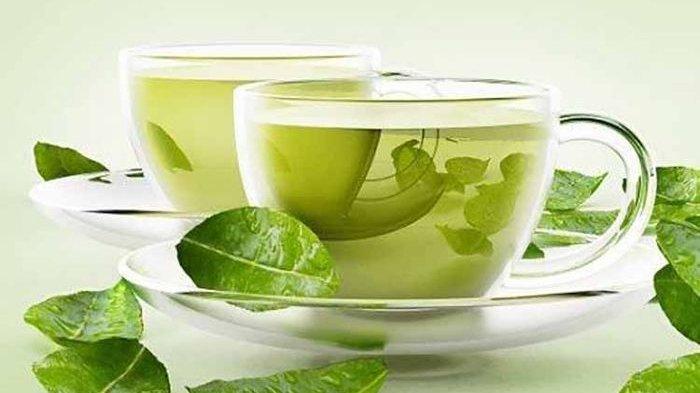 Teh hijau bagus untuk diet dan bakar lemak