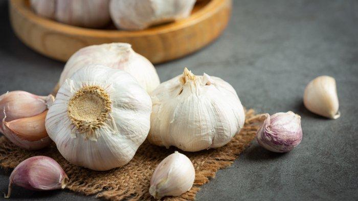 Bawang Putih