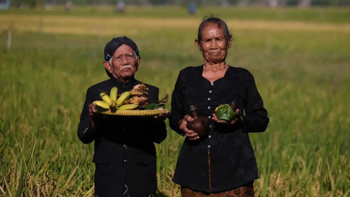 TRADISI KLATEN - Tradisi Wiwitan yang rutin dilaksanakan di Desa Tumpukan, Karangdowo, Klaten.