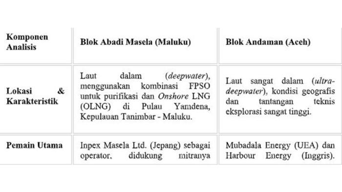 andaman 1