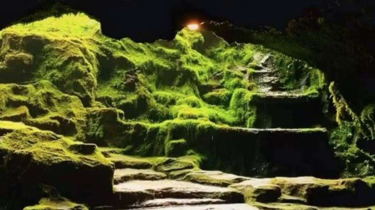Pesona Goa Lawa Purbalingga, tempat wisata alam di Purbalingga, Jawa Tengah.