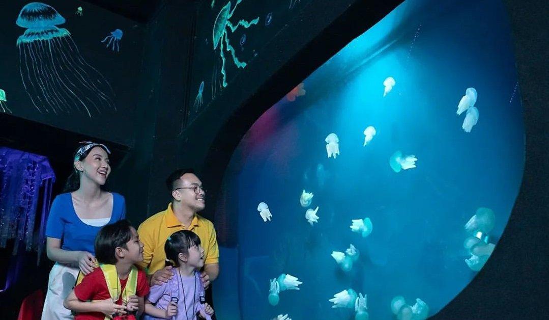 Kabar baik buat sekolah! Promo Pelajar Ancol diperpanjang hingga 31 Agustus 2026, harga study tour mulai Rp 50.000 per pelajar.
