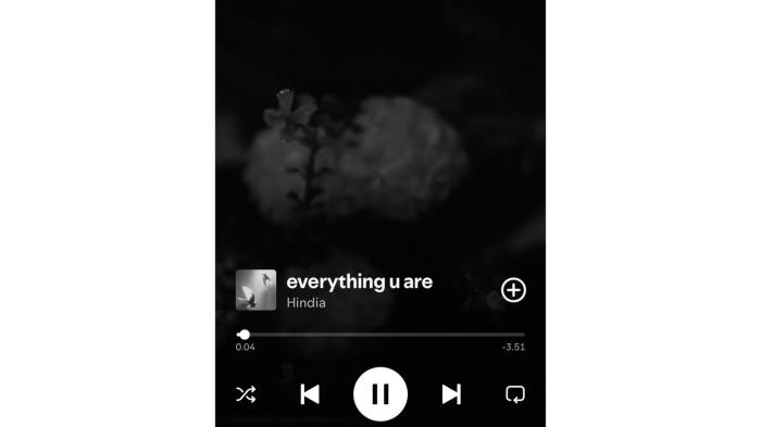 19072026 Single