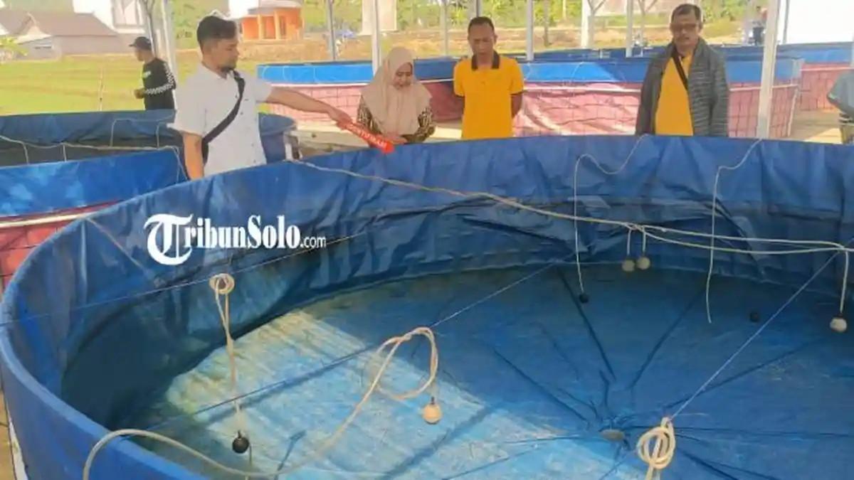 KOPDES MERAH PUTIH - Polisi melakukan olah TKP di kolam ikan lele milik Koperasi Desa Merah Putih Ngablak, Wonosegoro yang mati mendadak. Diduga lele tersebut sengaja diracun, Senin (20/7/2026).