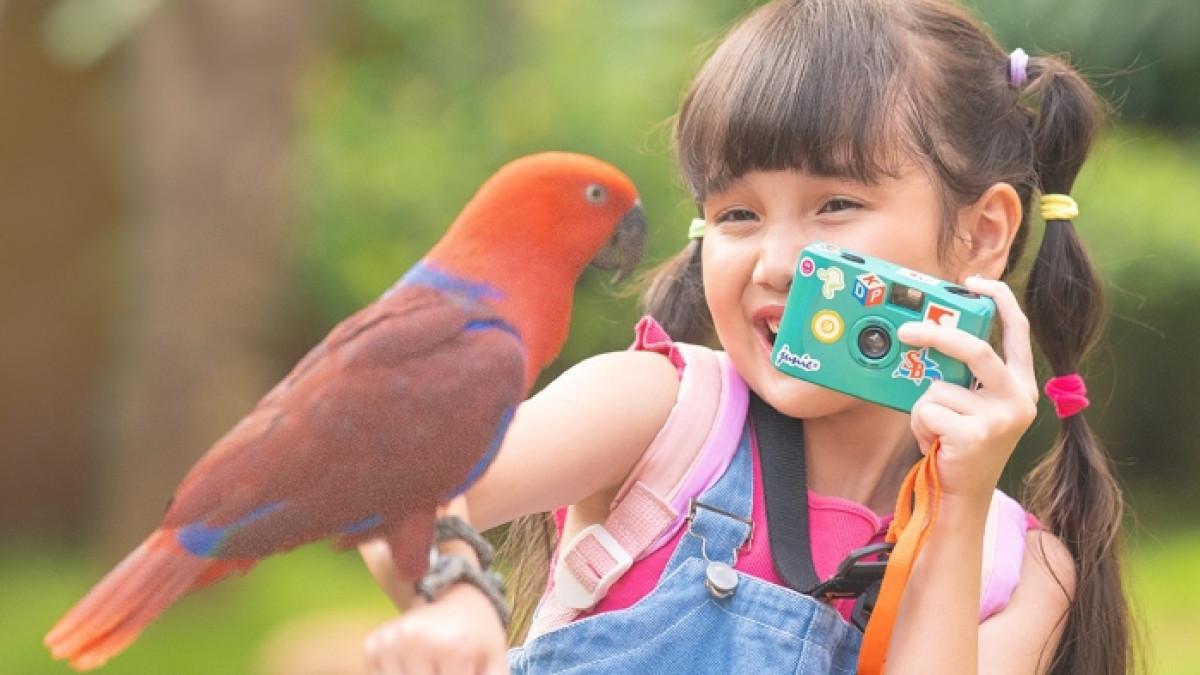 Ada promo tiket Jakarta Bird Land Ancol Juli 2026! Ajak anak melihat beragam burung, menikmati Bird Show, dan belajar tentang satwa.