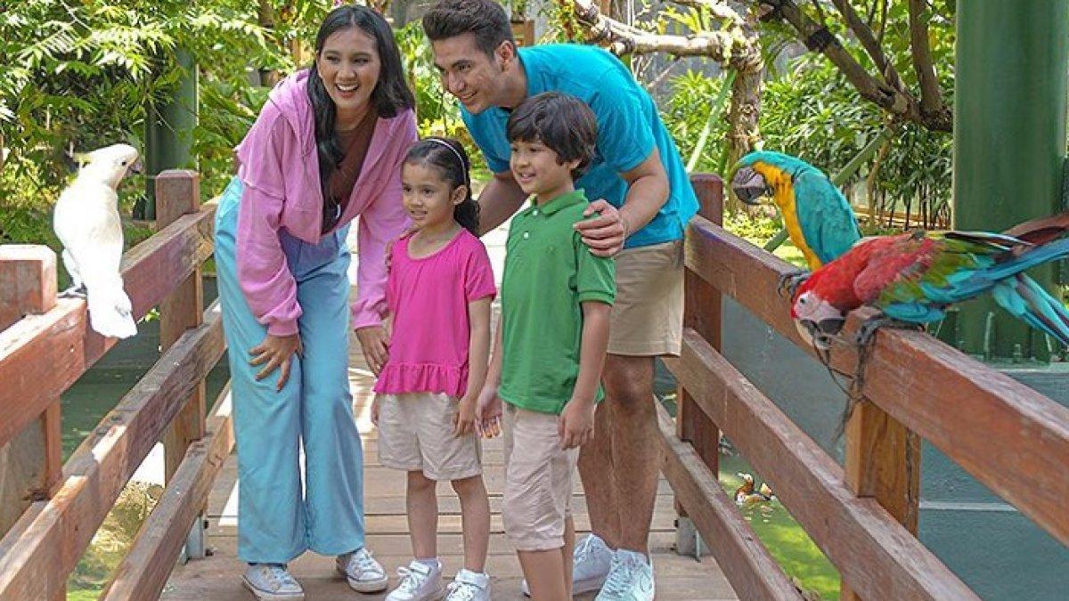 Cari wisata keluarga di Jakarta? Jakarta Bird Land Ancol menawarkan pengalaman melihat burung dari dekat dengan tiket promo mulai Rp 41.000.