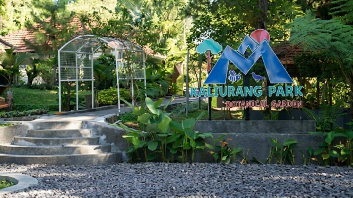 Kaliurang Park, tempat wisata di Sleman, Jogja yang cocok untuk petualangan alam.