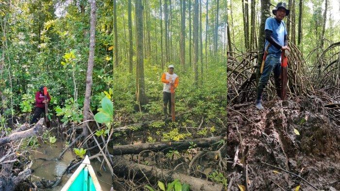 KARANGAN MENJAGA MANGROVE - Kegiatan pemasangan patok zonasi kawasan mangrove di Kampung Karangan, Kecamatan Biatan, Kabupaten Berau, Provinsi Kalimantan Timur (Kaltim) beberapa waktu lalu. Zonasi mangrove di Kampung Karangan ini berguna untuk menjaga habitat mangrove yang menjadi tempat hidup bagi biota yang menjadi bahan baku terasi, salah satu penghasilan andalan Kampung Karangan. (HO/Mustakim Mangera/Kepala Kampung Karangan)
