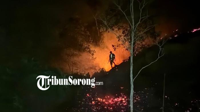 KEBAKARAN HUTAN -- Petugas gabungan Polresta Sorong Kota, TNI, dan Pemadam Kebakaran (Damkar) berjibaku memadamkan api di lokasi kebakaran hutan dan lahan (karhutlah) terjadi di Gunung Kali Ampat Malanu, Distrik Sorong, Kota Sorong, Provinsi Papua Barat Daya, Selasa (21/7/2026).(tribunsorong.com/safwan)