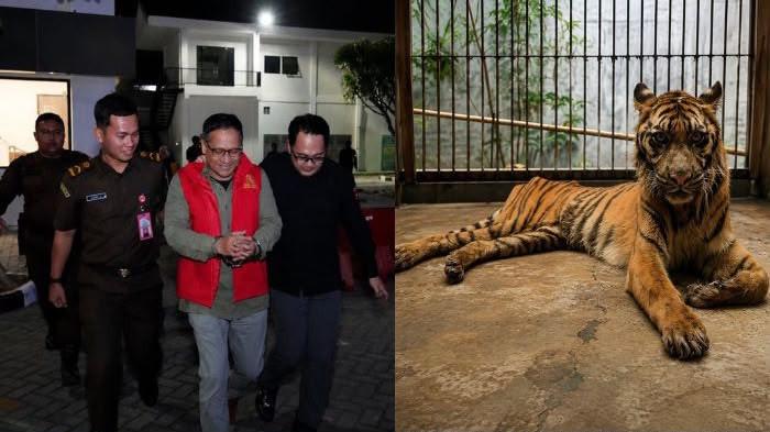 VIRAL DI MEDSOS - Mantan Direktur Kebun Binatang Surabaya (KBS), Choirul Anwar, menjadi sorotan usai ditetapkan sebagai tersangka dugaan korupsi pengelolaan keuangan Kebun Binatang Surabaya dengan nilai kerugian negara mencapai sekitar Rp10,2 miliar, Kamis (23/7/2026).