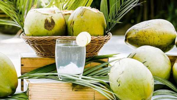coconut water