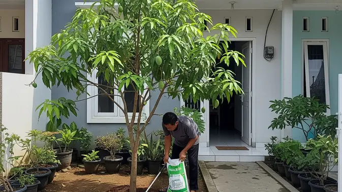 Cara Membuat Pohon Mangga Berbuah. AI Generated