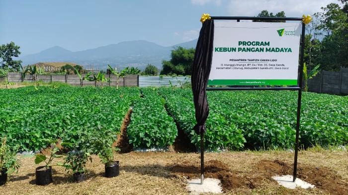 Peluncuran program Kebun Pangan Madaya di Pesantren Tahfiz Green Lido (PTGL), Desa Benda, Kecamatan Cicurug, Kabupaten Sukabumi, Jawa Barat, Jumat (24/7/2026).