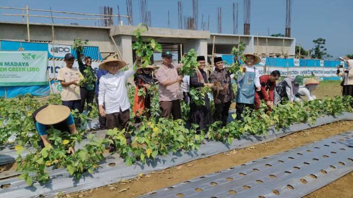Ketua Pengurus Yayasan Dompet Dhuafa Republika, Dr Ahmad Juwaini SE, MM (topi hitam) mencabut tanamkan Edamame sebagai tanda hasil panen dari program Kebun Pangan Madaya di Pesantren Tahfiz Green Lido (PTGL), Desa Benda, Kecamatan Cicurug, Kabupaten Sukabumi, Jawa Barat, Jumat (24/7/2026).