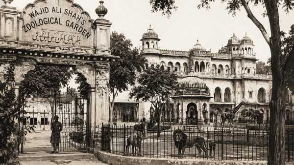Wajid Ali Shah Zoo