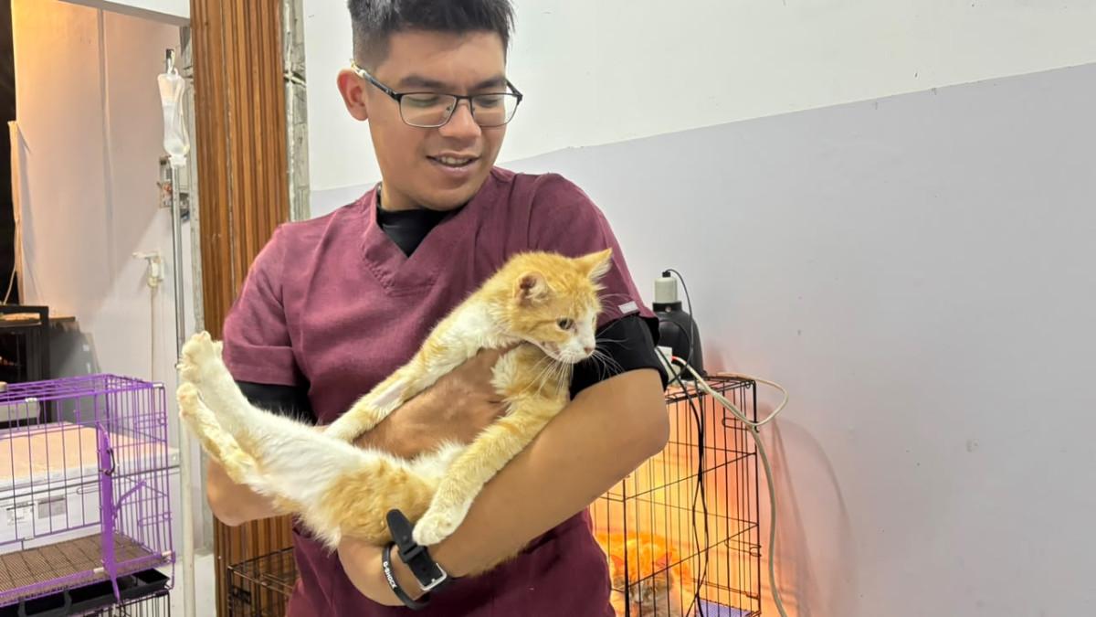KLILNIK HEWAN SOLO - Dokter Rinaldi menggendong  Xabi ketika masa pemulihan pasca-operasi.