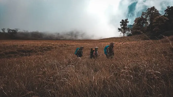 Taman Nasional Gunung Rinjani Bukit Propok di Taman Nasional Gunung Rinjani, Nusa Tenggara Barat. (dok. Instagram @en.cres/https://www.instagram.com/p/BynCoitB2yB/)