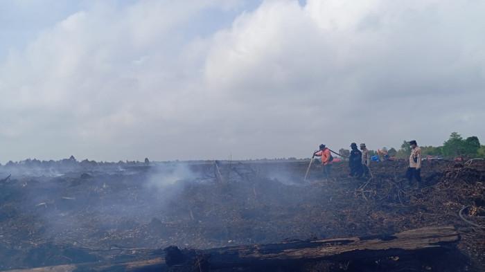 KARHUTLA - Kebakaran hutan dan lahan (karhutla) di kawasan gambut Kabupaten Muaro Jambi. Jika karhutla terjadi di lahan gambut, maka sulit dipadamkan karena ada di kedalaman.