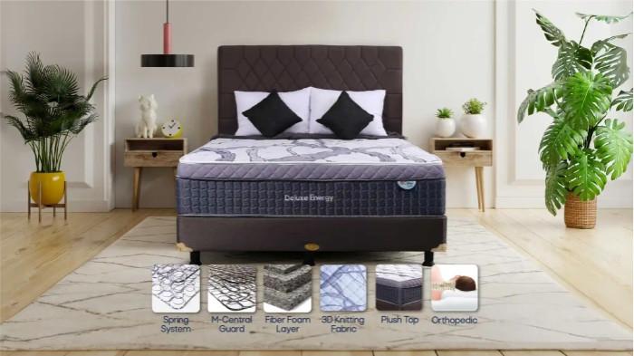 4MultibedSpringCentral