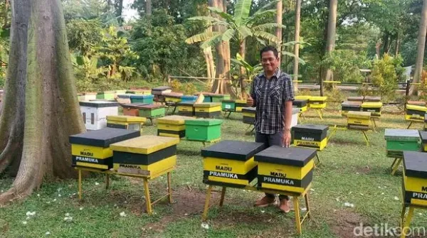 Taman Wisata Lebah, Cibubur Taman Wisata Lebah, Cibubur