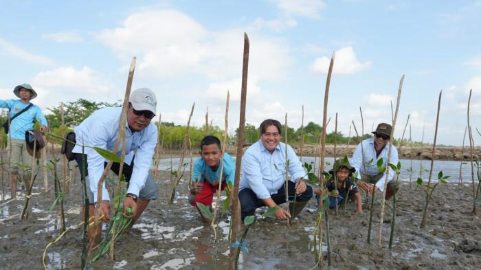 PENANAMAN MANGROVE - Dinas Lingkungan Hidup (DLH) Provinsi Kalimantan Selatan bersama PT Reswara Minergi Hartama melaksanakan aksi penanaman 1.000 bibit mangrove di kawasan pesisir Desa Takisung pada lahan seluas satu hektare.