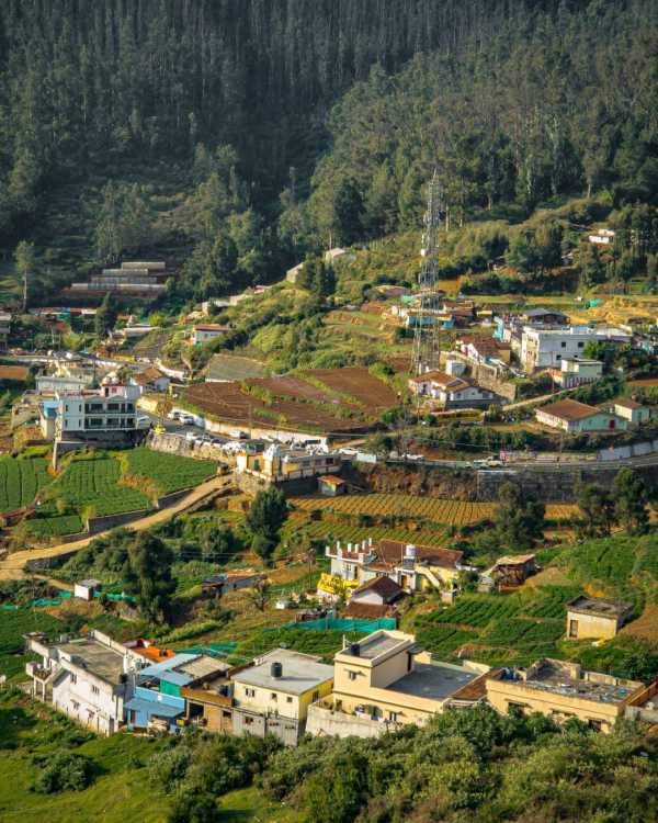 ooty
