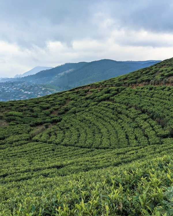 Kotagiri