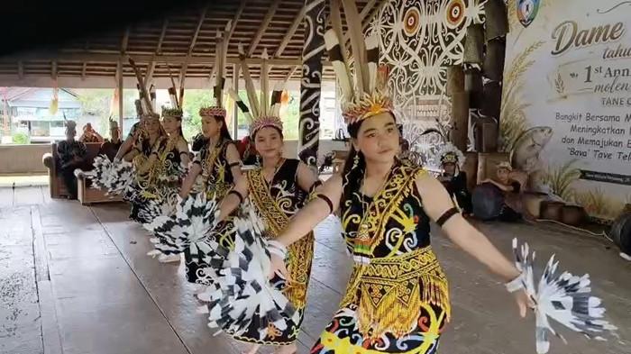WISATA BUDAYA  - Penampilan tarian dalam tradisi Dame Moo Ajo di BPU Desa Wisata Setulang, Kabupaten Malinau, Kalimantan Utara.
