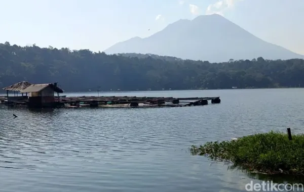 Ribuan ikan di Ranu Klakah Lumajang mati