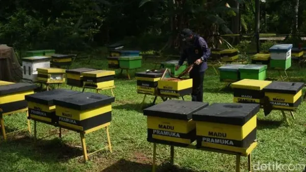 Taman Wisata Lebah di Cibubur tawarkan edukasi seru tentang lebah dan madu. Pengunjung bisa belajar budidaya lebah dan manfaat madu untuk kesehatan.