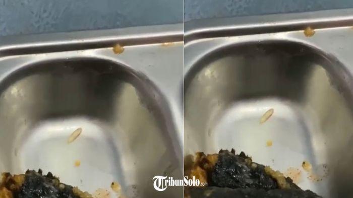 TEMUAN ULAT - Tangkapan layar aduan dan video yang memperlihatkan salah satu menu MBG terdapat ulat di dalamnya. Laporan tersebut disampaikan melalui laman Unit Layanan Aduan Surakarta (ULAS), Selasa (28/7/2026).