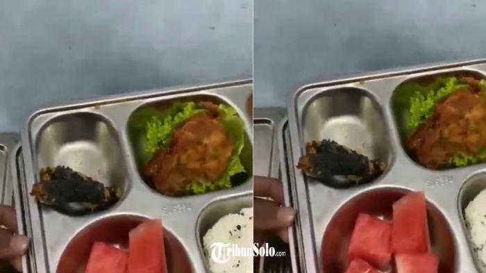 TEMUAN ULAT - Tangkapan layar aduan dan video yang memperlihatkan salah satu menu MBG