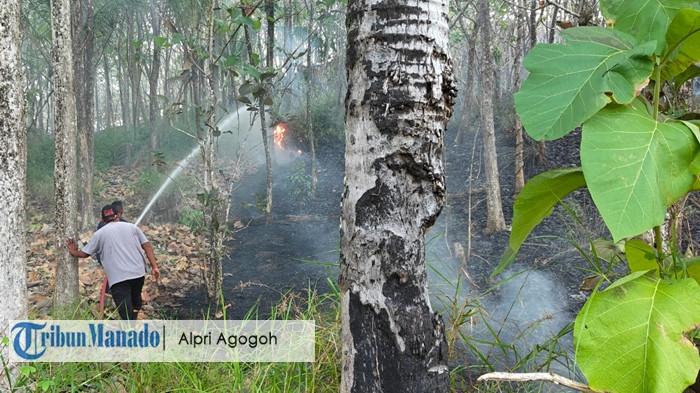 Kebakaran lahan di Desa Binuanga Boltara Selasa (28/07/2026)