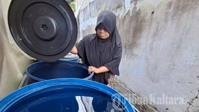 28072026 kasus demam berdarah di Tarakan 02
