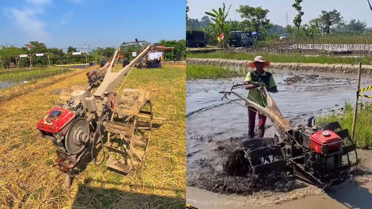 EVEN KLATEN - Keseruan lomba balap traktor di Klaten.