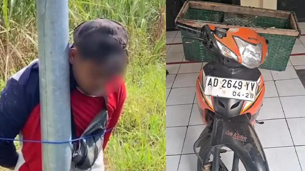 VIRAL DI MEDSOS - Video seorang pria diikat di tiang lampu di Kecamatan Ceper, Kabupaten Klaten, Jawa Tengah, viral di media sosial. Belakangan diketahui, pria tersebut merupakan terduga pelaku pencurian sepeda motor yang sempat dinasihati warga sebelum akhirnya diserahkan kepada polisi. Pelaku mencuri sepeda motor Honda Supra bernomor polisi AD 2849 YV milik petani yang diparkir di tepi sawah dengan kunci kontak masih menempel.