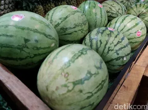 Ilustrasi Buah Semangka