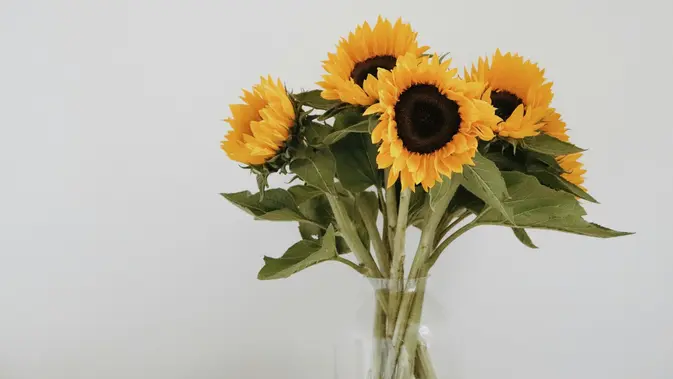 Bunga Tips Memilih Bunga Kebahagiaan untuk Hadiah. (Gambar: Lotte de Jong/Unsplash)