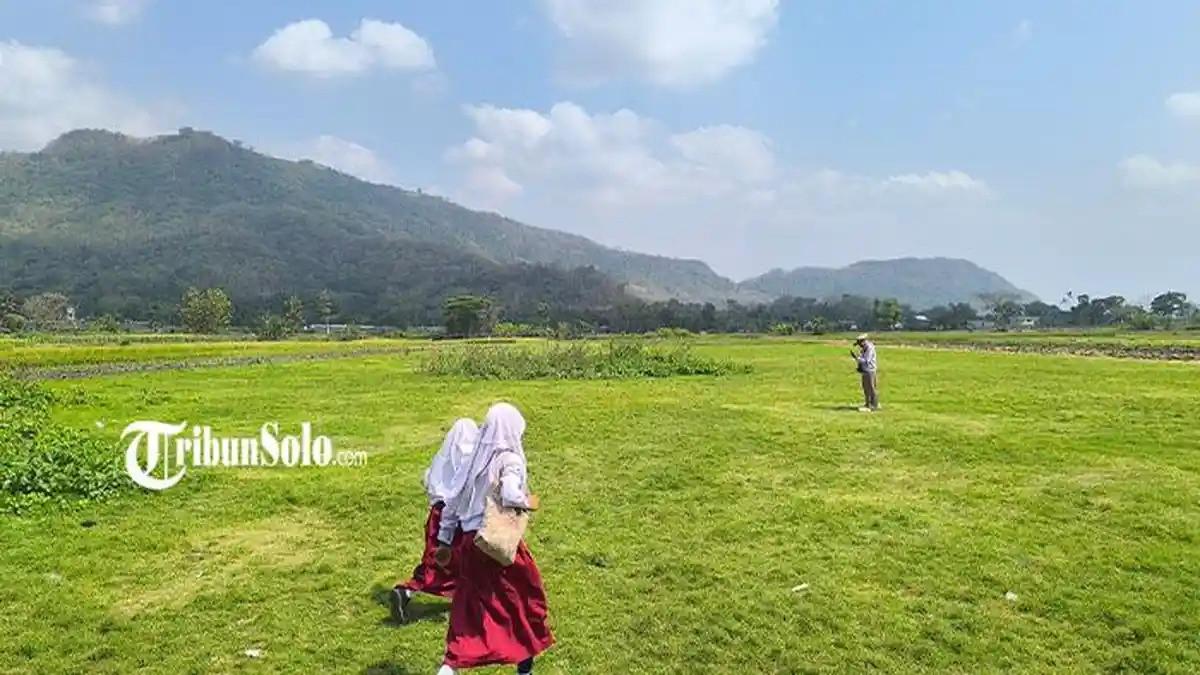 VIRAL DAN DIKUNJUNGI - Sabana yang viral dikunjungi orang di Prambanan, Klaten, Jawa Tengah, Kamis (30/7/2026).