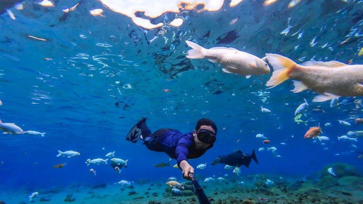 WISATA SOLO-KLATEM: Menyelam di Umbul Ponggok, Klaten