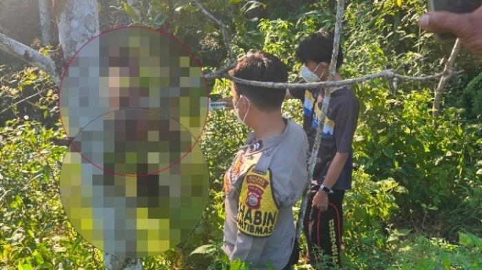 SELIDIKI - Foto penemuan jenazah korban tewas tak wajar di areal perkebunan Desa Mangkurajo Kecamatan Lebong Selatan pada Sabtu (1/8/2026). Polisi masih selidiki motif dugaan korban nekat mengakhiri hidupnya sendiri.